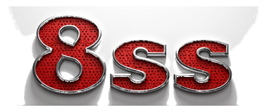 8ss logo